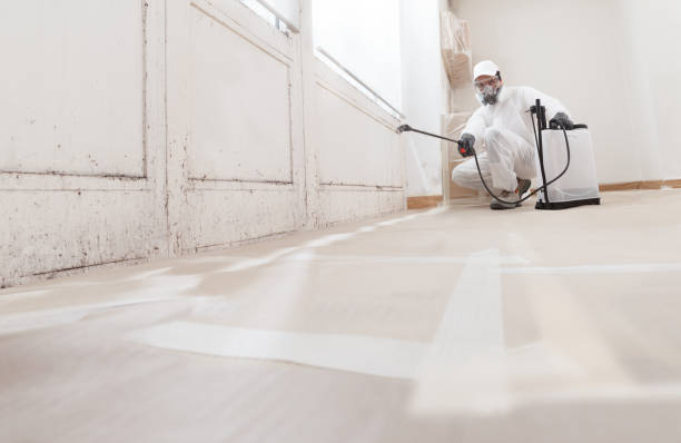 24/7 Emergency Mold Remediation experts in Passaic, NJ